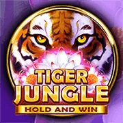 Chiến lược cá cược thể thao tại LV88 Casino